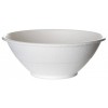 Bol BIO D17cm (100buc)