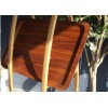 Tava 37x53cm ABS (1buc) Produse 21,89 RON